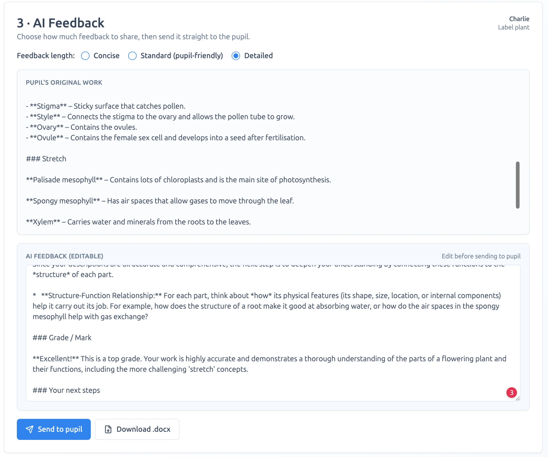 AI feedback step showing the pupil’s original work above editable AI feedback with concise, standard and detailed options.